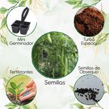 15 Semillas De Planta Luffa Cylindrica+ Mini Kit Germinación
