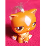 Figura 226 Little Pet Shop Hasbro Gato Naranja Marron C Pelo