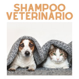 Shampoo Pet Cetoconazol  Clorexidine(2%e 20%)500ml Cães Gato