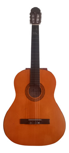 Guitarra Criolla Rómulo García Acg-3910
