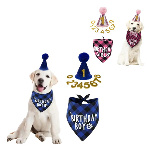 Cumpleaños Perro Y/o Gato, Gorro Y Paliacate De Perro