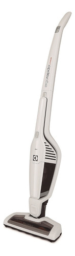 Ergorapido Electrolux Erg21 Color Blanco 100v/240v