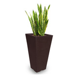 1 Vaso De Planta Decorativo Para Casa Sala Jardim Q 75x40