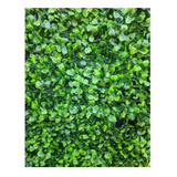 Muro Verde Follaje Artificial 50 Piezas