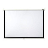 Pantalla Electrica Retractil 152  X 152 American Screens