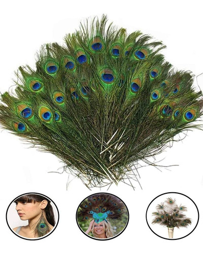 Plumas De Pavo Real Naturales Medidas Varias X 10 Unidades