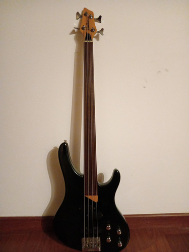 Washburn Fretless Xb 200