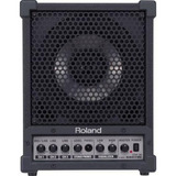 Amplificador Caixa Som Multiuso Roland Cm-30 30w Rms