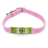 Chapita Gato Verde Manzana! + Collar 1 Cm Elastizado Rosa