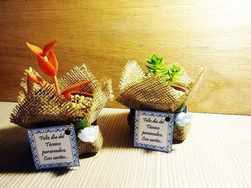 Cactus Encintados Plantas Para Bautizos Regalos Decorados