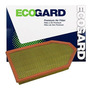 Filtro Aire Ecogard Xa6167 Dodge Charger & Challenger