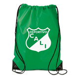 Tula Deportiva Impermeable Maleta Sport Bolsa Deportivo Cali