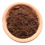 Peat Moss, Musgo Canadiense, Turba. Plantas Carnívoras, Etc.