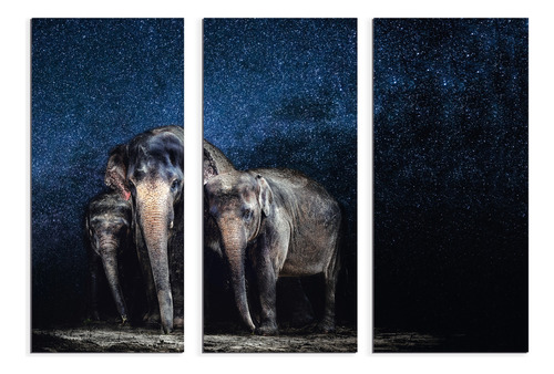Set De 3 Cuadros Canvas Elefantes Noche 90x130cm