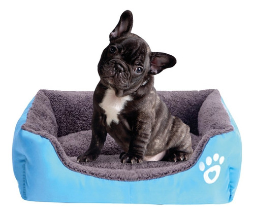 Cama Para Perro Mascota Grande 60x50x15 Cm Color Azul