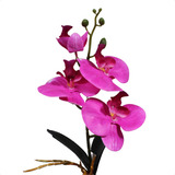 Haste Orquídea Artificial Phalaenopsis Com Raiz