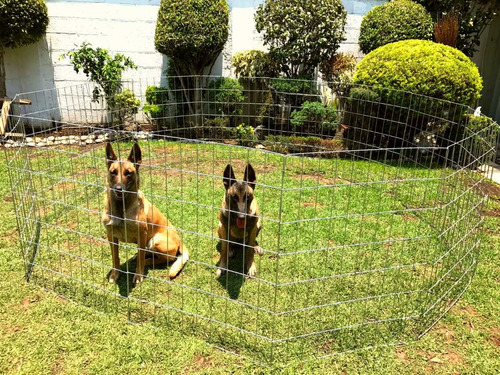 Corral Para Perro 92cm De Alto Con 12 Paneles Reforzado 