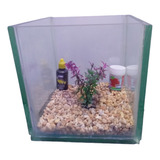 Betta Kit Cubo De 8lts