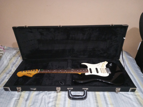 Hard Case Standard Para Guitarra Modelo Strato - Stagg