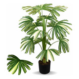 Planta Artificial Palmeira Raphis Real Toque