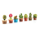 7pcs Pequeño Cactus Miniatura Suculentas Plantas Decora Casa