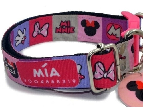 Collar Personalizado Mascotas Perro Raza Peq Gato Talla Xl