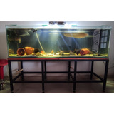 Acuario 200cmx60cmx60cm Ver Descripcióncon Base En Hierro