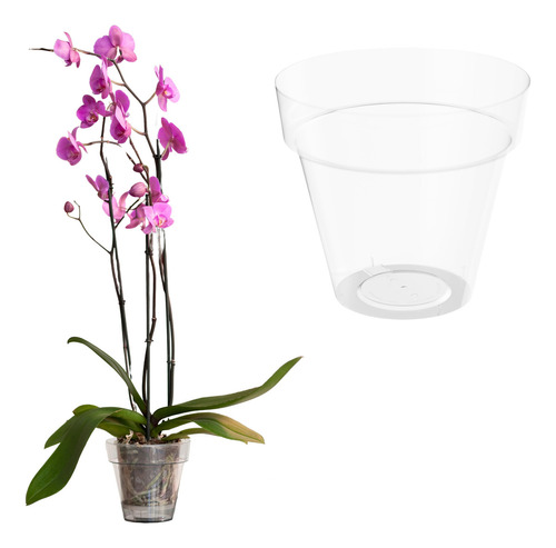 Maceta Orquidea Transparente Hecho En España 1.1l 14cm Ø