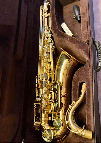 Saxofone Eagle Stx 513 Profissional