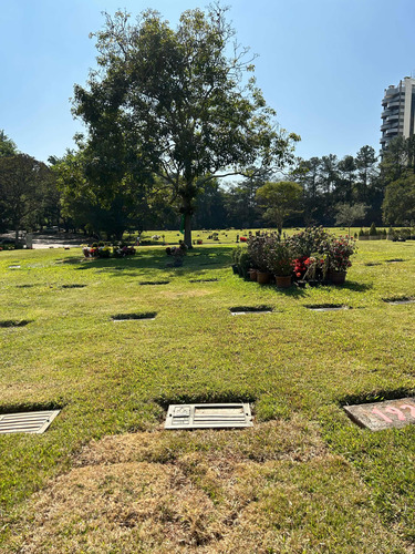 Jazigo Cemitério Parque Morumby/divido Taxa De Transferência