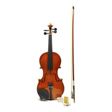Violin Palatino Pvp02-4/4  Profesional