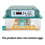 Incubadora De Huevos Pequeños Para El Hogar, Escotilla