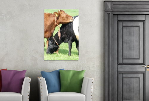 Cuadro 50x75cm Vaca Animales Campo Pasto Funny M2