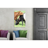 Vinilo Decorativo 40x60cm Vaca Animales Campo Pasto M2