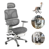 Silla Oficina Ergonómica Mesh Ejecutiva Ajustable Reclinable