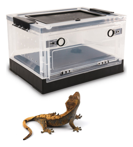 Ke Woow Mini Terrario Caja D Crianza Y Alimentación Reptiles