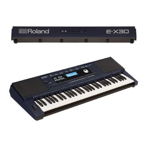 Teclado Roland E-x30 Arranger, Sonidos D Piano, Máximo Nivel