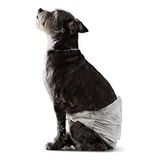 Pañales Desechables Para Perro Macho, Amazon Basics