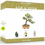 Nature's Blossom Bonsai Tree Kit - Grow 4 Types Of Bonsai T