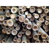 5 Varas De Bambú Naturales Olha 150 Cm Largo / 7 Cm Grosor