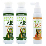Eco Hair Anticaida Crecimiento Cabello 1 Locion + 2 Shampoo