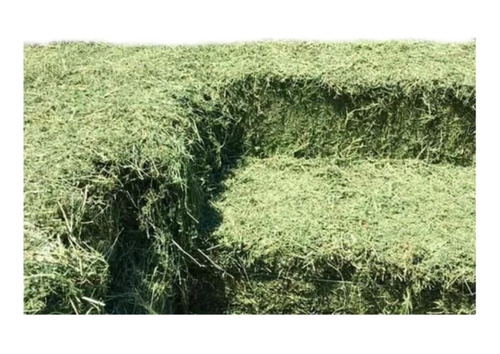 3kg De Heno De Alfalfa Organica Para Cuyo Y Conejo