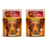 Sachê Special Dog Para Cachorro Adulto Sabor Carne 100g