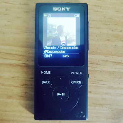 Walkman Nw-e394 | Envío gratis