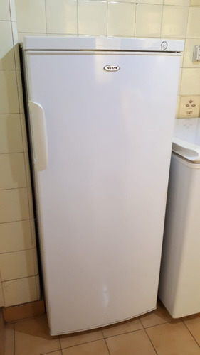 Freezer Vertical Siam Modelo Ff-si160 Perfecto Estado