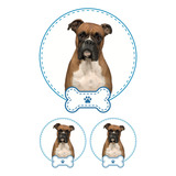 Sticker Boxer Niño 3 Pza Impresion Alta Calidad Mascota