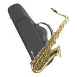 Saxofone Tenor Bb Harmonics Hts-100l Laqueado Softcase