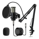 Alabs Microfono Condensador Xlr, Kit De Microfono De Grabaci