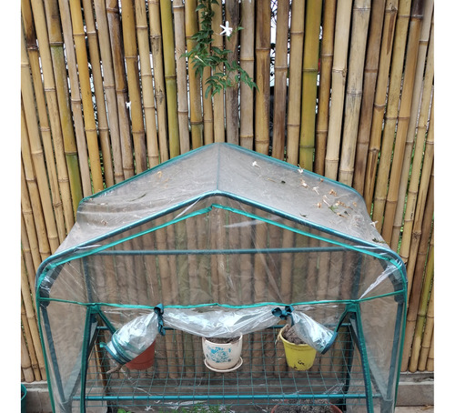 Invernadero Carpa Outdoor Indoor Cultivo 