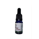 Aceite Hierbabuena Menta Spicata (esencial) 10 Ml 100% Puro 